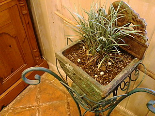 a0094140_18501169.jpg