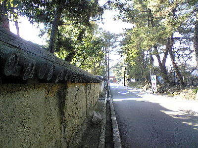 b0016043_23322554.jpg