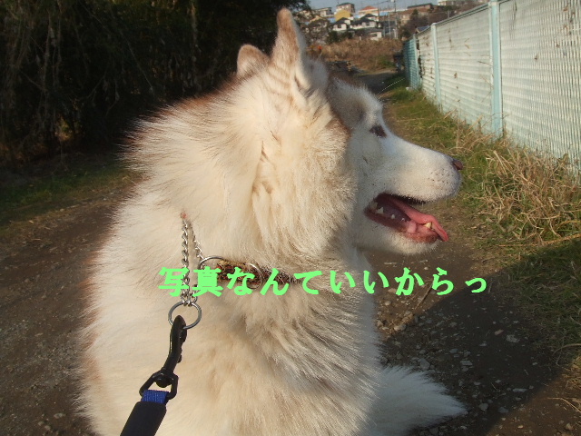 e0121548_23152239.jpg