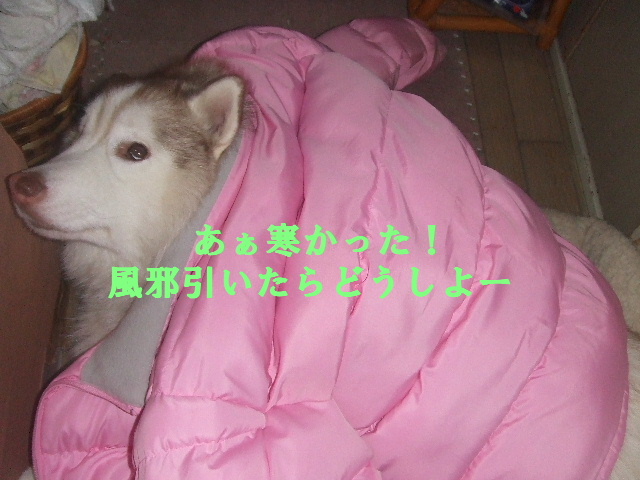 e0121548_23453184.jpg