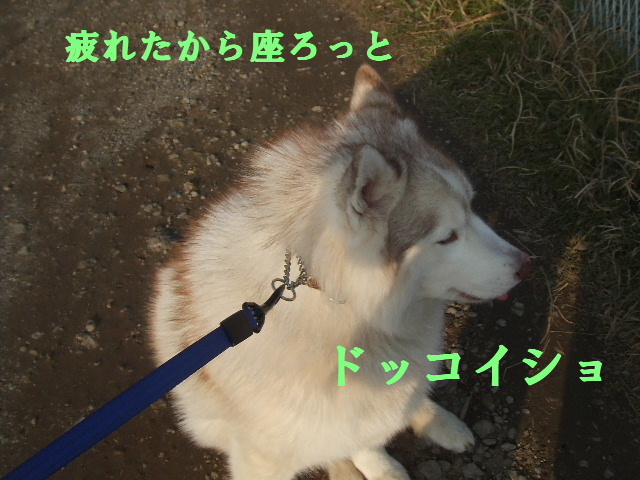 e0121548_2363089.jpg