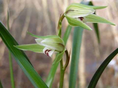 f0043750_22114025.jpg