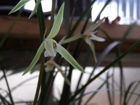 f0043750_22125534.jpg