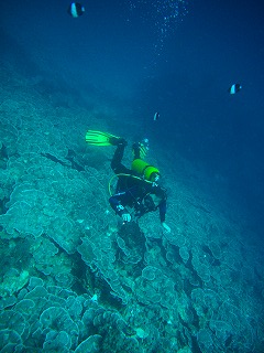 b0117957_15353557.jpg