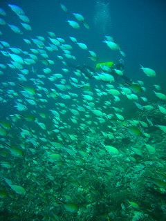 b0117957_15382949.jpg