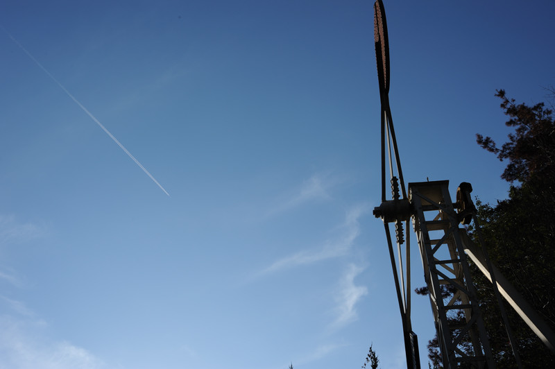 c0084666_730519.jpg