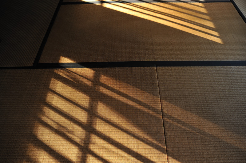 c0084666_873276.jpg