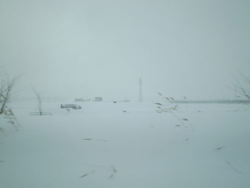 a0074469_237299.jpg