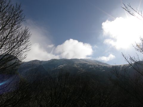 c0042869_20314667.jpg