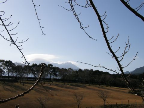 c0042869_20315100.jpg