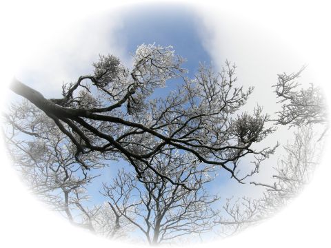 c0042869_20332998.jpg