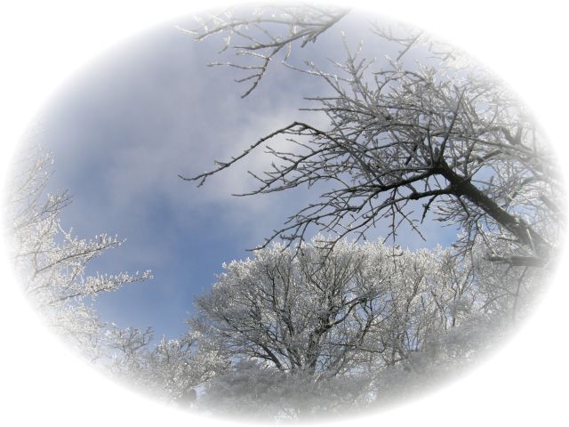 c0042869_20342215.jpg