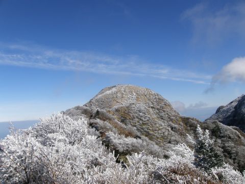 c0042869_20364417.jpg