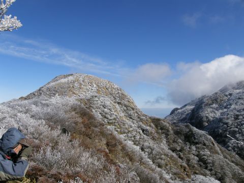c0042869_2039316.jpg