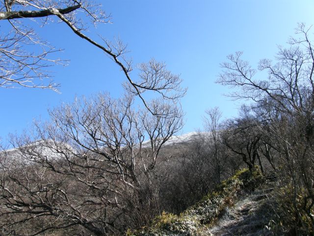c0042869_2041379.jpg