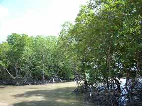 c0108673_2159447.jpg