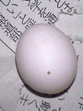 c0026178_18295046.jpg