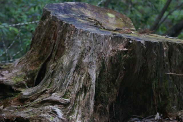 d0079278_19201495.jpg