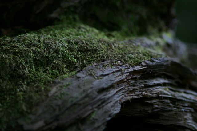 d0079278_19231328.jpg