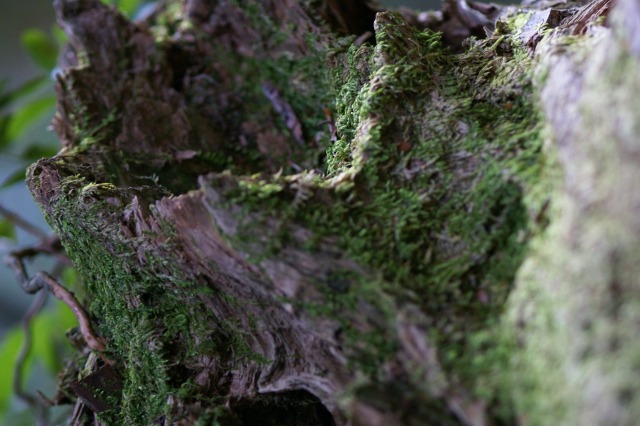 d0079278_1923178.jpg