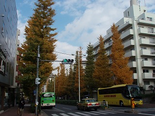 c0105785_8383384.jpg