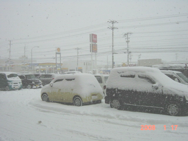 a0007388_1330826.jpg