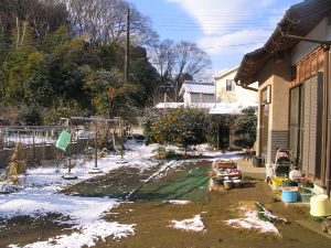 c0049489_2227732.jpg