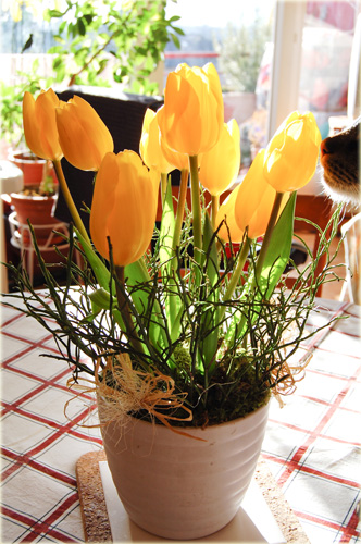 a0034198_21523840.jpg