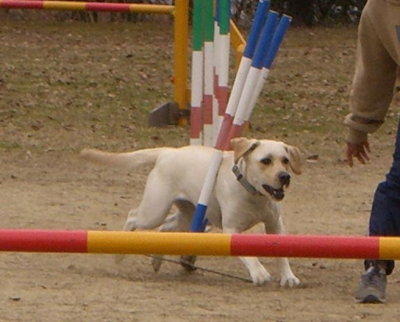 d0091700_2233139.jpg