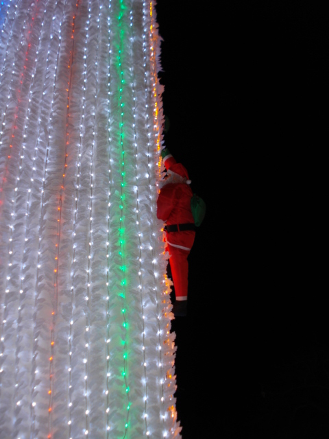 e0015108_0494786.jpg