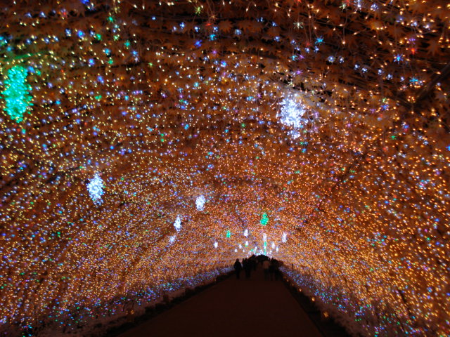 e0015108_105759.jpg