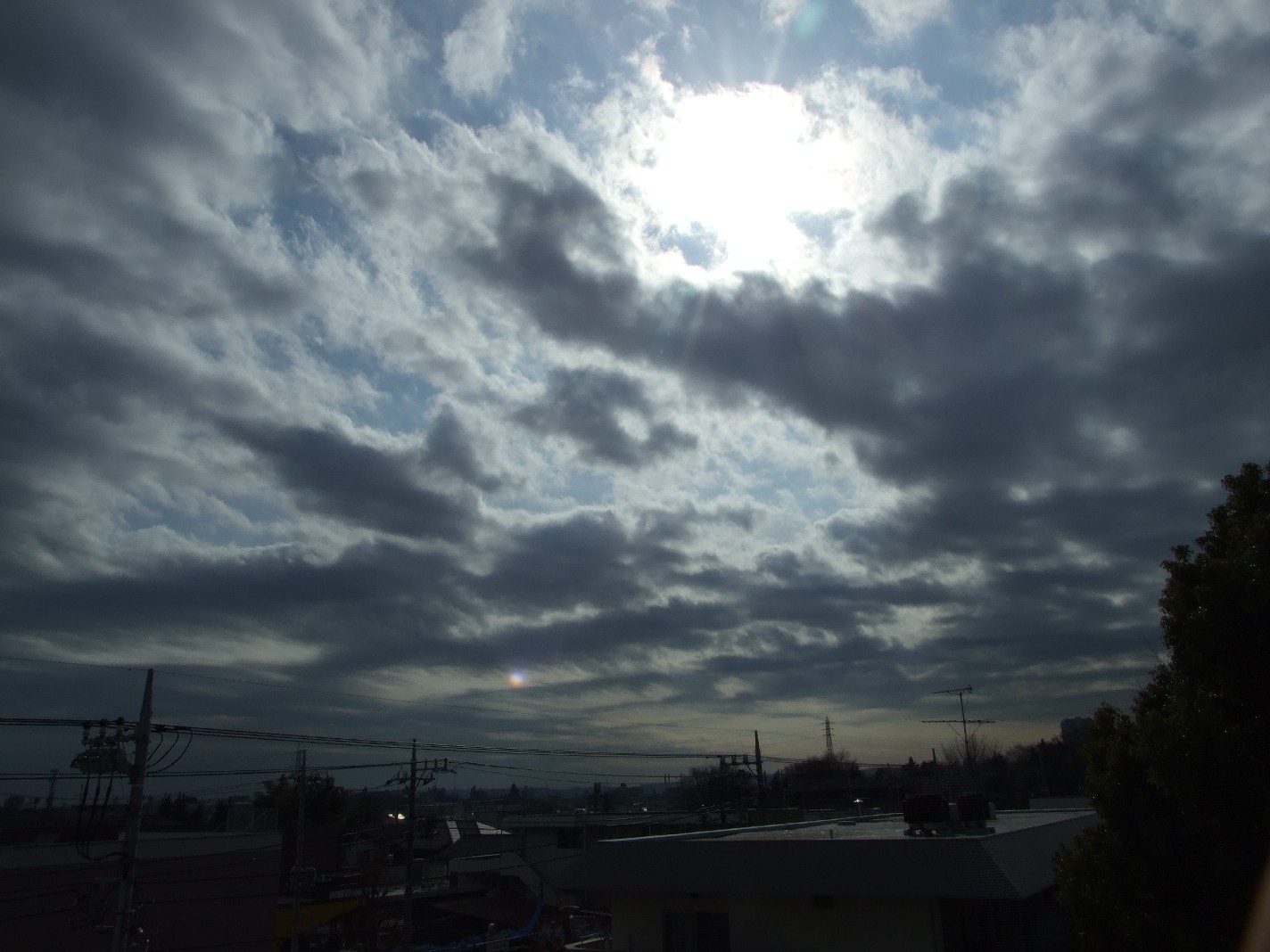 b0061010_21514314.jpg