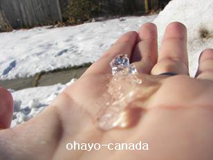 e0090610_3285041.jpg