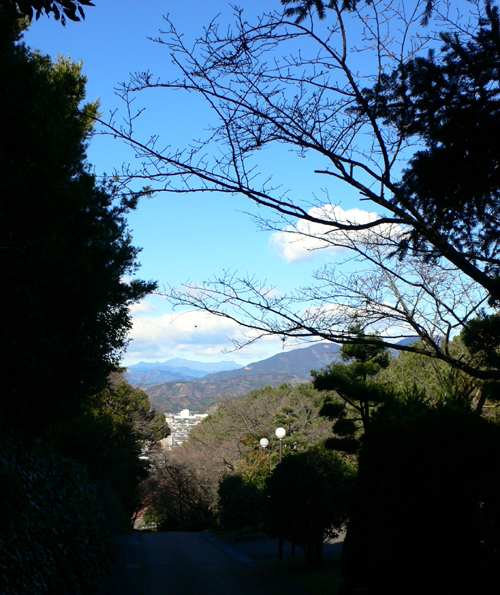f0060424_9355438.jpg