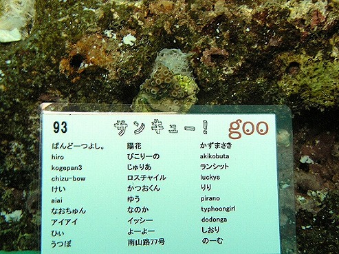 f0078132_3511546.jpg