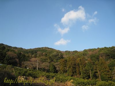 c0134734_0141913.jpg