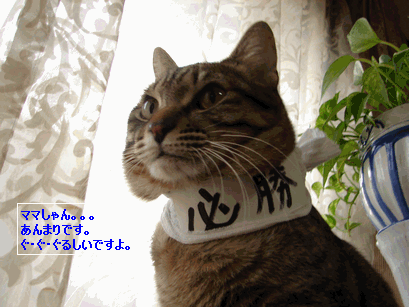 c0136736_1610916.gif