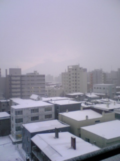 a0008538_1205829.jpg