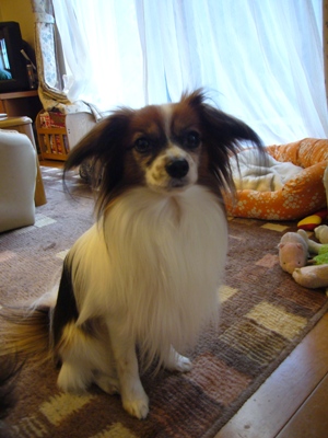e0100046_21543382.jpg