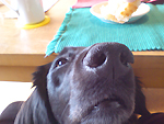 f0095047_05318100.jpg