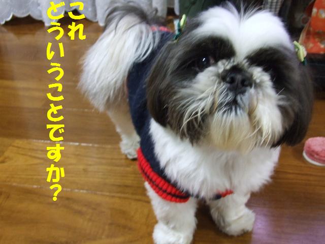 a0091448_20122590.jpg