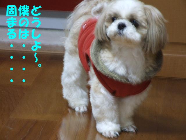 a0091448_2013634.jpg