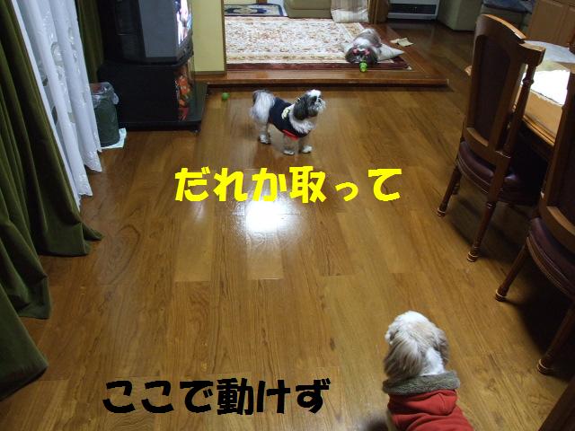 a0091448_20161679.jpg