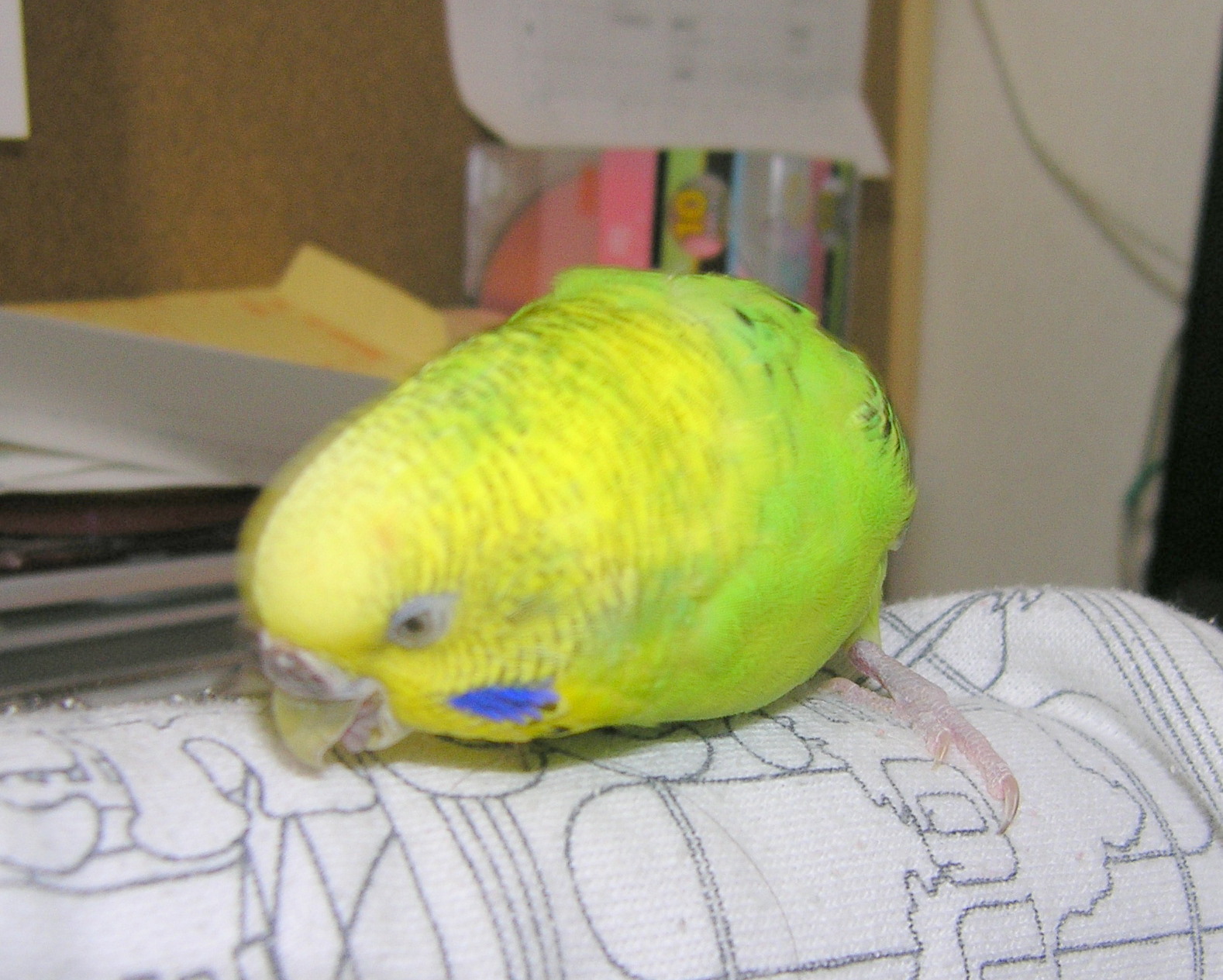 f0154649_2115311.jpg