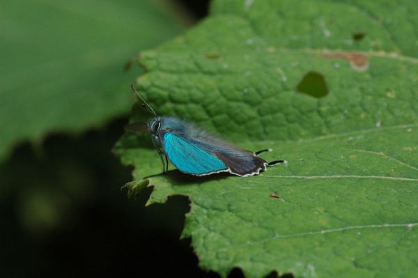 d0098057_1162452.jpg