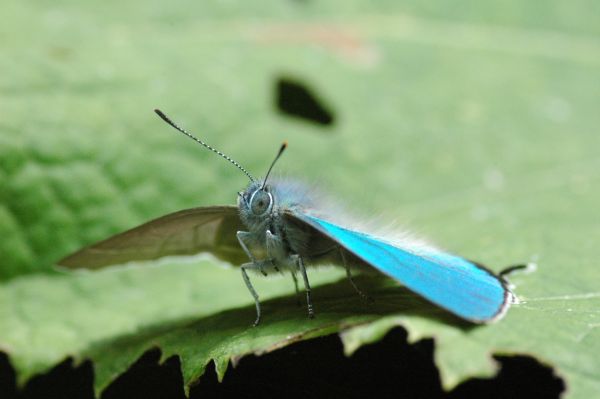 d0098057_1165481.jpg