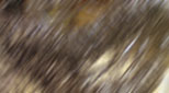 d0029958_1923187.jpg