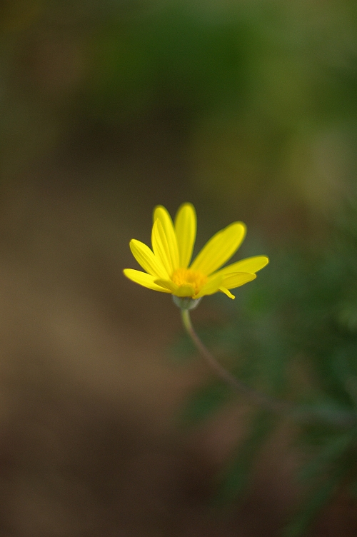 a0094762_1617430.jpg
