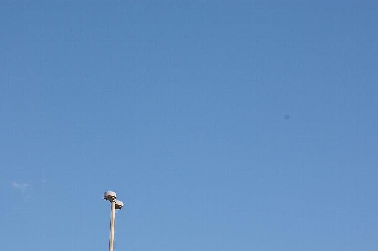 a0094762_1674511.jpg
