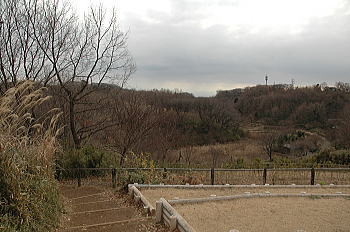 f0118263_18404464.jpg